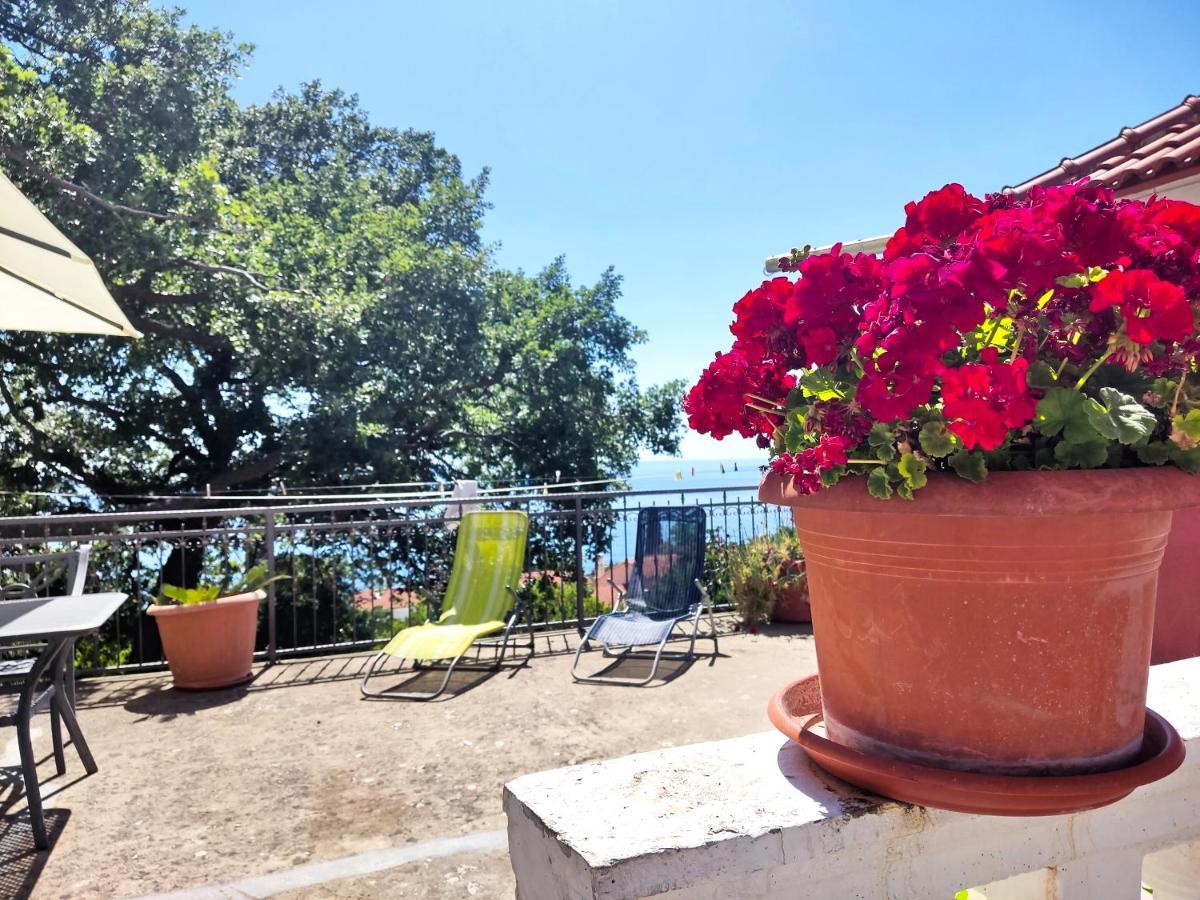 Dubrovnik Moonshine Apartment 米利尼 外观 照片