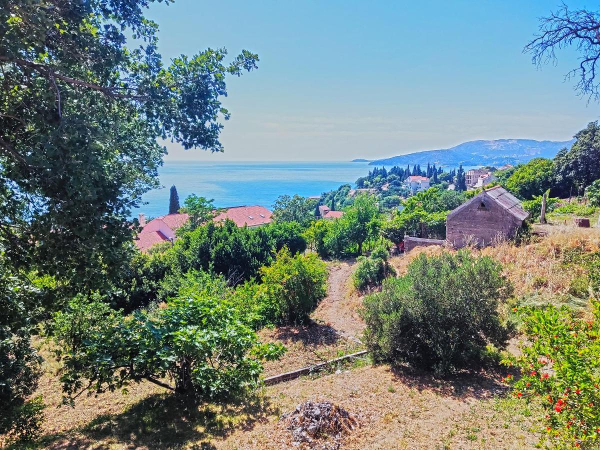 Dubrovnik Moonshine Apartment 米利尼 外观 照片