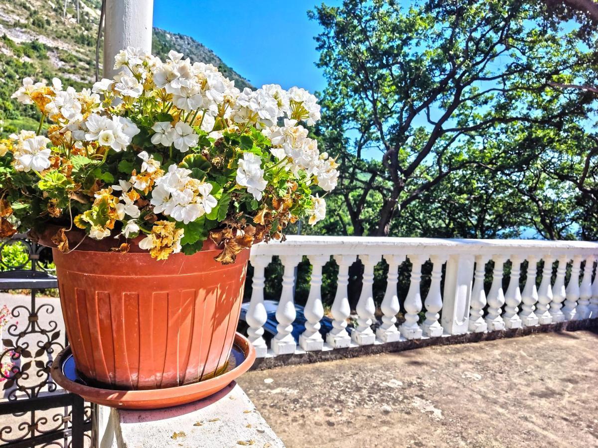 Dubrovnik Moonshine Apartment 米利尼 外观 照片