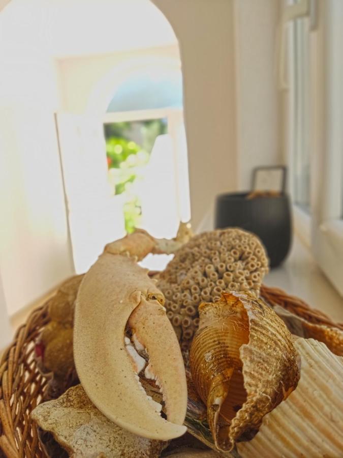 Dubrovnik Moonshine Apartment 米利尼 外观 照片