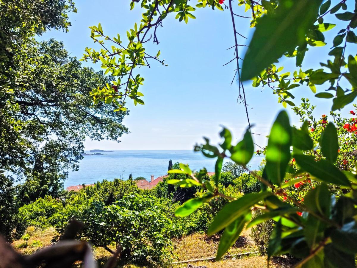 Dubrovnik Moonshine Apartment 米利尼 外观 照片
